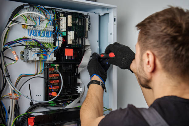 Licensed Electrical Panel Upgrade service in Round Lake Park, IL - No Joke electrician